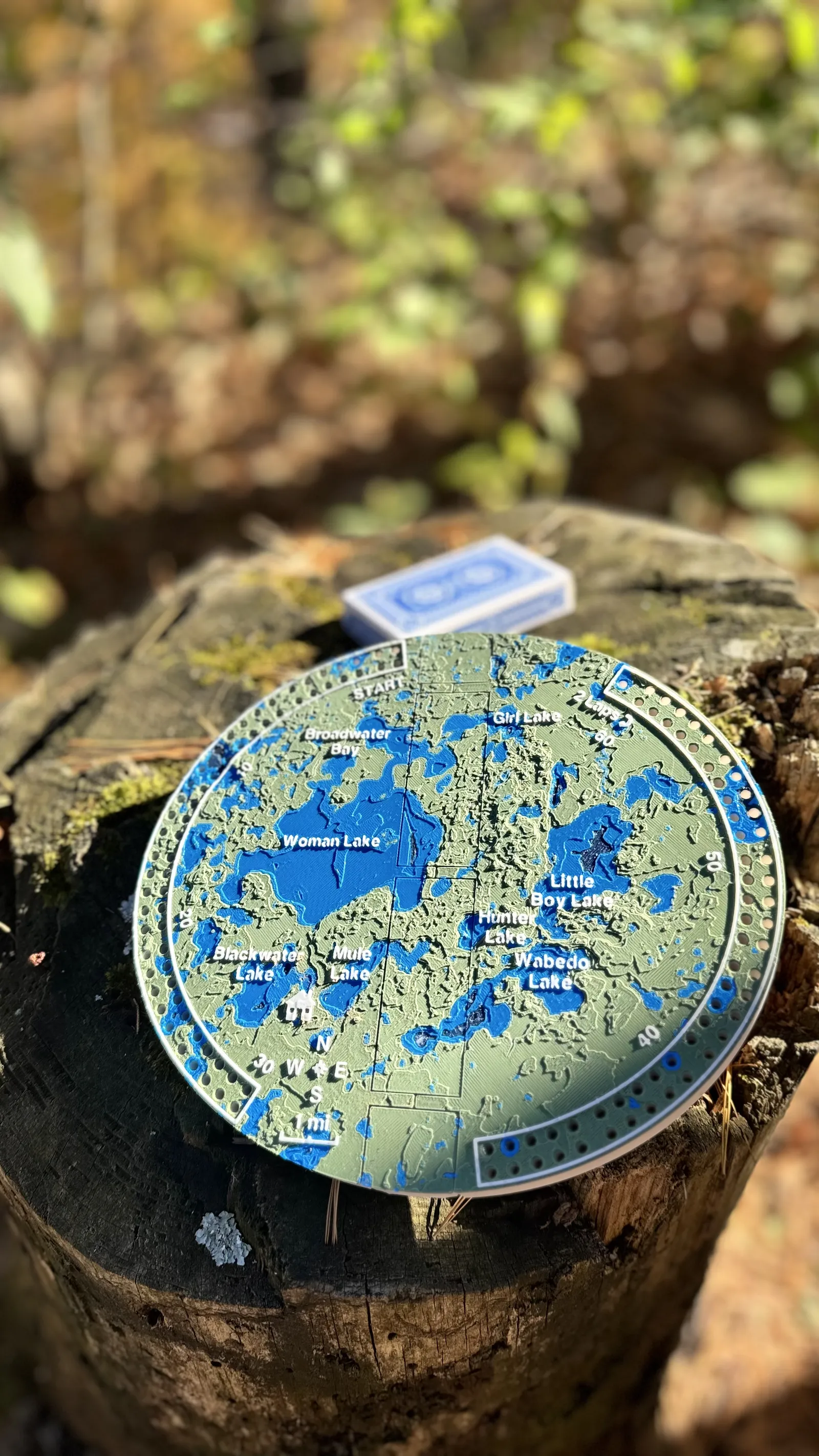 Open folding topographic cribbage board with playing cards on a tree stump among autumn leaves